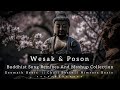 Wesak & Poson - Mashups,Buddhist songs (REMIX) Collection || සිත නිවන බොදු ගී එකතුව || 2023:05:07