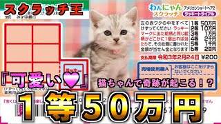 【わんにゃんスクラッチ】１等50万円『アメリカンシュートヘアー』高額当選は気まぐれ、まるで猫のように現れる