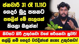 ජනවාරි 31 රෑ 11.11ට ගෙදර බුදු පහනට පහලින් මේ පැලයක් නිකමට තියලා බලන්න! - සල්ලි ප්‍රශ්න ඔක්කොම ඉවරයි!