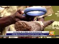 kws displays 18 horns taken from 9 dead rhinos