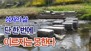 713. [성자의 삶] 한번에 이르지는 못한다 (날라까의 경 6, 숫타니파타)