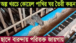 অল্প খরচে যে ভাবে কোয়েল পাখির ঘর তৈরী করবেন | আপনার বাসার ছাদে বারন্দায় পরিতক্ত জায়গায় | Koyel paki