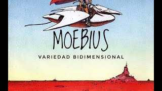 MOEBIUS: VARIEDAD BIDIMENSIONAL