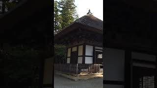 観心寺の風景に癒される動画【No.4】 #Shorts