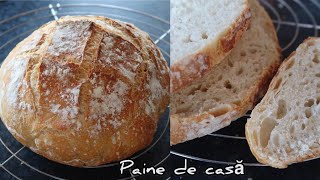 PAINE DE CASA - Reteta si trucuri pentru paine de casa 🥖 #painedecasa