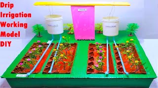 Drip irrigation working model without motor | science project | DIY | howtofunda | waste materials