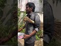 chinna paiyen comedy reels comedyfilms comedy cinemacomedy comedyclips funny funnycinema ￼