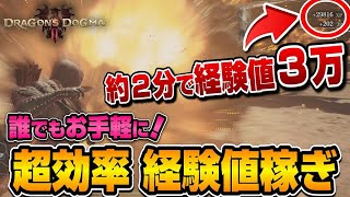 【ドラゴンズドグマ２】楽に稼げる！誰でもできる効率的な『経験値稼ぎ』を紹介【Dragon's Dogma2】