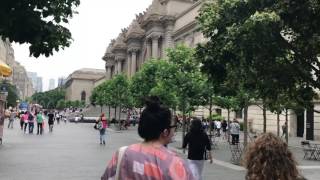 NYC Metropolitan Museum
