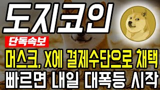 [도지코인 전망]빠르면 내일 대폭등 시작합니다