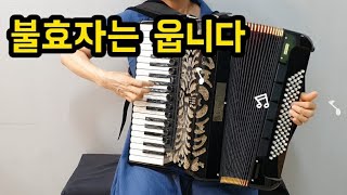 아코디언연주_불효자는웁니다[트로트#6]