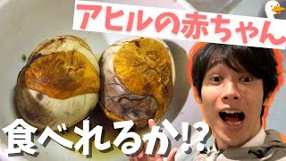 【閲覧注意!?】ベトナムで孵化直前のアヒルの卵『ホビロン』食べてみた!!