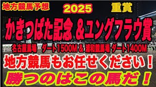 【 地方競馬予想 】かきつばた記念、ユングフラウ賞2025予想！勝つのはこの馬だ！