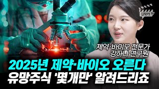 2025년 제약·바이오 오른다, 유망주식 '몇개만' 알려드리죠 (강하나 전 애널리스트)