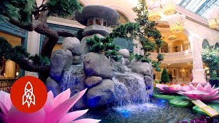 Step Inside a Secret Garden Oasis in Vegas
