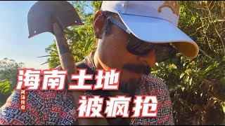 自从海南省政府发布的十八条措施之后，大量内地人涌入抢租土地【阿汤传奇】