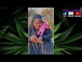 weed memes u0026 fail compilation 223 fatally stoned