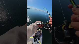 Fishing With My Smallest Rod and Biggest Lure! #fishingvideo #fish #glidebait