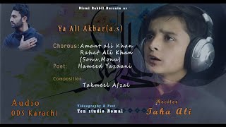 Ya Ali Akbar a.s | Taha Ali Nohay 2021 | new nohay | muharam 2021 noha 2021-22