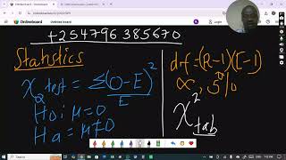 Statistics tutorial and assignment support