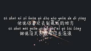 【TA-不是花火呀】TA-BU SHI HUA HUO YA /TIKTOK,抖音,틱톡/Pinyin Lyrics, 拼音歌词,병음가사/No AD, 无广告,광고없음