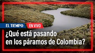 ¿Qué está pasando en los páramos de Colombia? | El Tiempo