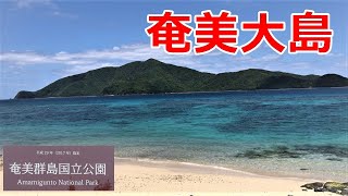 【タエン浜】エメラルドグリーンの海岸    優しい波の音