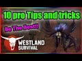 10 important Tips And Tricks For The Beginners!!  | Westland Survival  