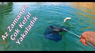 KEFAL AVI / GÖL KAMIŞIYLA PRATİK  BİR AV / MULLET FISHING