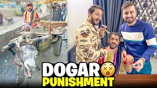 Finally Dogar is Back with saying yes😁 Revenge Time😎