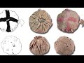 12 Most Incredible Recent Artifacts Finds