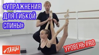 Упражнения для гибкой спины. Уровень PRO и для начинающих