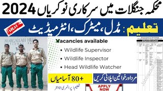 Wildlife Park Department Jobs 2024 | How To Apply For  Wildlife and Parks Punjab  Department  Jobs