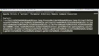 Apache Struts 2 'action:' Parameter Arbitrary Remote Command Execution