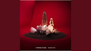 HYBRID FUNK