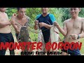 memburu monster gorgon(baung ekor merah)PART 1