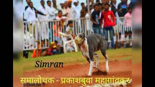 महाराष्ट्रातील तिसरी मोटरसायकल विजेती 🏆महाराष्ट्र चॅम्पियन सिमरन 🔥Maharashtra Champion simran