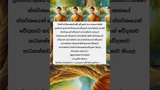 වේදනාව🔥කියන්නේ කුමක්ද?...💥🕊️💥...