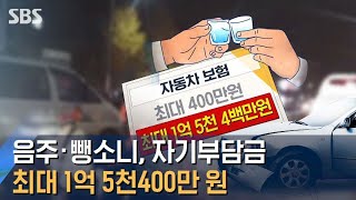 음주 · 뺑소니 사고, 자기부담금 최대 1억 5천400만 원 / SBS