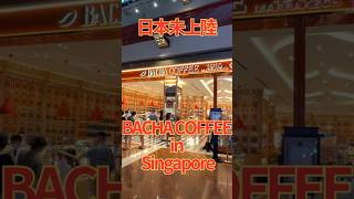 BACHA COFFEE バシャコーヒー　日本未上陸　シンガポール　シンガポールカフェ　マリーナベイサンズ　shingapore