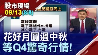 【好公司遇倒楣事 破年線就是最佳買進點 孫總監的口袋名單!操作小叮嚀!】20190913(第8/8段)股市現場*鄭明娟(孫慶龍×俞伯超×杜富國)