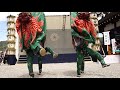 飛騨一宮水無神社式年大祭 大西熊野神社　獅子舞3 2017.5.4