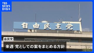 政治資金規正法改正へ　自民党も党の案を来週とりまとめの方針｜TBS NEWS DIG