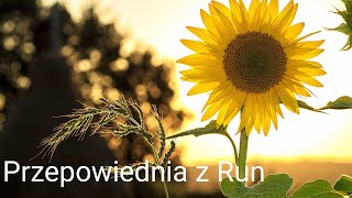 ❤️🌱Przekaz z Run ❤️🌱ogólny rozkład.