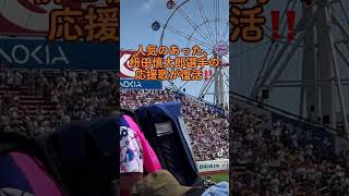 楽天イーグルス応援風景（2023年6月25日）