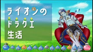 【DQXトリニティ】バトルトリニティ対抗戦