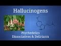 Hallucinogens: How Psychedelics, Dissociatives, & Deliriants Differ