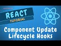 17. React Component Life Cycle methods when state updates and component unMount Method - ReactJS