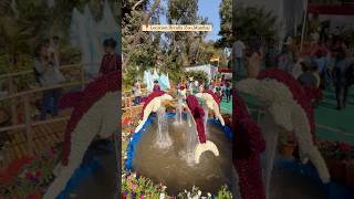 Flower Festival 2025 in Mumbai at Byculla #shortvideo #shortsfeed #shorts #bmc #shortsviral #trend