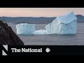 Where are the icebergs? Newfoundland to see fewer this season